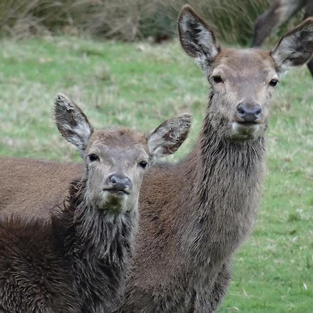 Exmoor Bnb In Withypool On Two Moors Way エクステリア 写真
