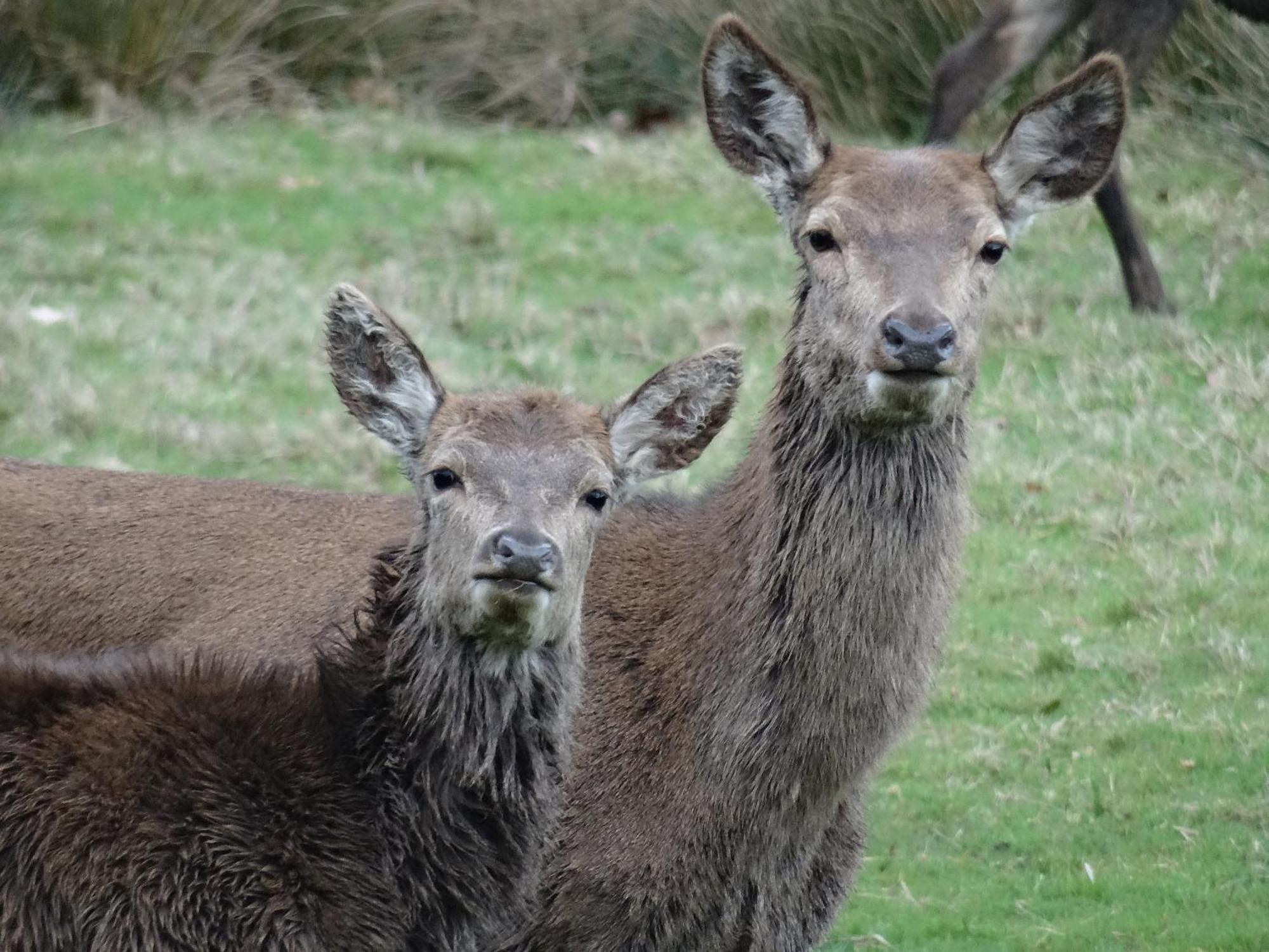 Exmoor Bnb In Withypool On Two Moors Way エクステリア 写真