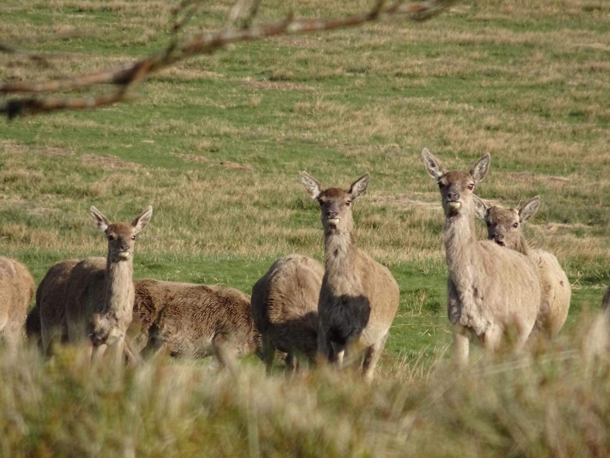 Exmoor Bnb In Withypool On Two Moors Way エクステリア 写真