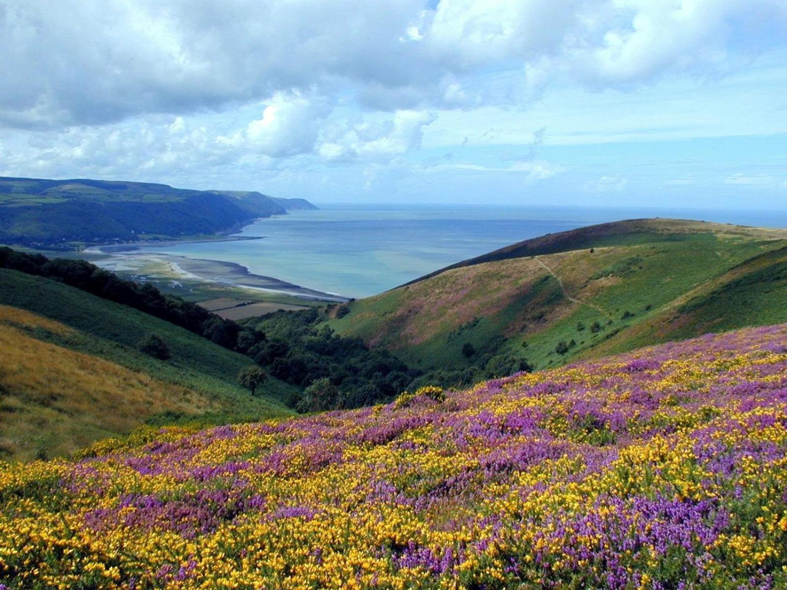 Exmoor Bnb In Withypool On Two Moors Way エクステリア 写真