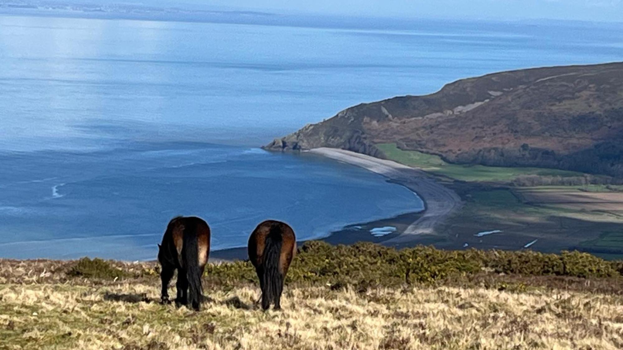 Exmoor Bnb In Withypool On Two Moors Way エクステリア 写真